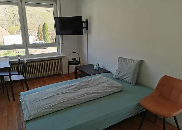 Appartamento Zum Moselfischer *